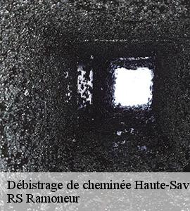 ramonage-74