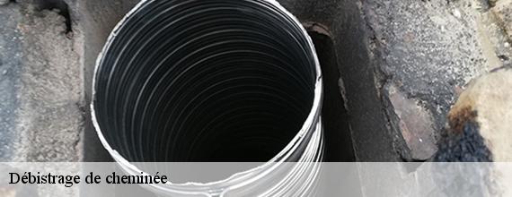 ramonage-74